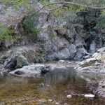 La Foresta di Girgini a Desulo