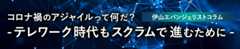 コロナ禍のアジャイルって何だ？ -テレワーク時代もスクラムで進むために-