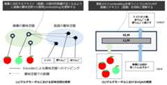 図2：fine tuningにより更新されたembeddingによりLLM/VLMが分散表現を獲得するイメージ