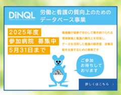 main_dinql_sp_2025