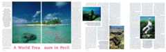 Ocean Realm Rose Atoll Article