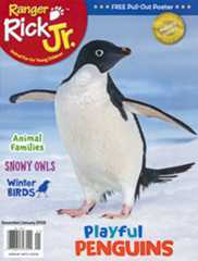 Ranger Rick Jr Cover, penguin
