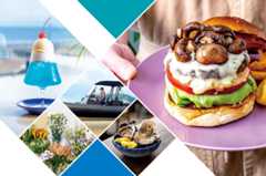 海風に包まれて心踊る 鵠沼海岸〜鵠沼海岸の魅力