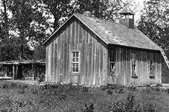 A small wooden structure sits in front of large trees.