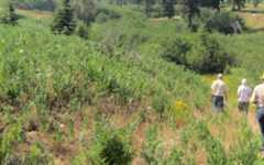 One of Oregon’s largest family-owned forests protected for timber and wildlife