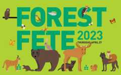 Forest Fete 2023