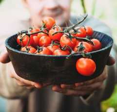 high quality food pappabuona