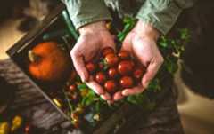 italian food selection pappabuona