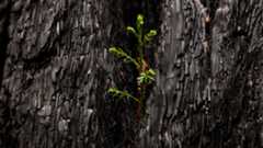 Planning for a Changing Landscape