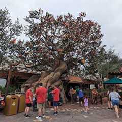 The Many Adventures of Winnie The Pooh