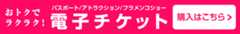 おトクでラクラク！電子チケット