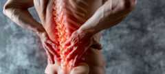 Image of back and spine