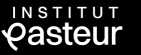 Institut Pasteur