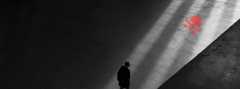 Shadow IT