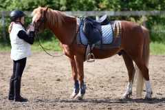 camp été enfant cheval