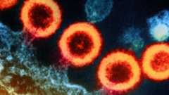 Four bright orange loops brand off of a dark blue blob