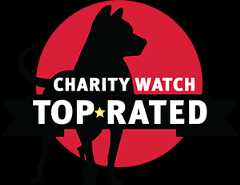 Charity Watch