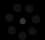 Live Photos + Burst Mode