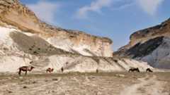 kapamsay-canyon-white-cliffs-with-camels
