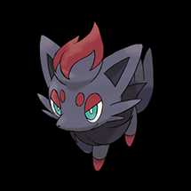 Zorua