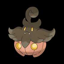 Pumpkaboo - Average Size