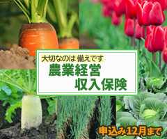 大切なのは備えです,農業経営収入保険,申し込み12月まで