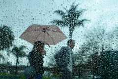 Pedestrians with an umbrella shield themselves from the rain in Oakland, Calif., on Tuesday, Feb. 10, 2026. (Ray Chavez/Bay Area News Group)