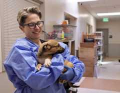 This photo provided by Humane Society of Sonoma County shows dogs found in deplorable conditions at the Clearlake Animal Shelter operated by North Bay Animal Services of Petaluma. Workers with the Humane Society of Sonoma County removed 30 dogs from the shelter and provided medical care to the animals. (Humane Society of Sonoma County)