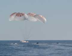 Die NASA-Astronauten Nick Hague, Suni Williams, Butch Wilmore und der Roscosmos-Kosmonaut Aleksandr Gorbunov landen am 18. März 2025 in einem SpaceX Dragon-Raumschiff im Wasser vor der Küste von Tallahassee, Florida. Hague, Gorbunov, Williams und Wilmore sind von einer Langzeit-Wissenschaftsexpedition an Bord der Internationalen Raumstation zurückgekehrt. Bild: NASA/Keegan Barber