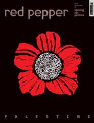 Magazine cover showing a bright red flower with white Arabic script in the centre, on a black background with the word underneath 'PALESTINE'