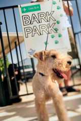 Dog in front of RNO Bark Park sign.