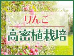 りんご高密植栽培