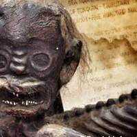 Arkansas Alligator Farm: Home of the Merman