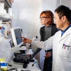 Close up of a therapy dog’s nose on the University of Rochester river campus. 