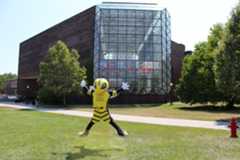 Rocky jumping in front of Wilson Commons