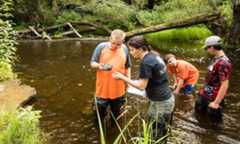 A teacher and three students wade in a creek as part of the curriculum at their rural schools in New York State.