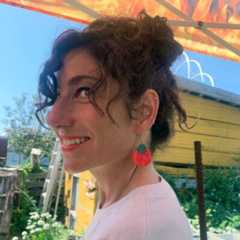 The Glorified Tomato