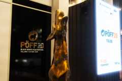 Tailinn Black Nights Film Festival 2025