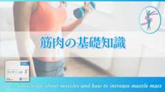 筋肉の基礎知識:成長の仕組みや効率的な増量法