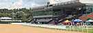 Wolverhampton (AW) Racecourse