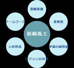 組織風土調査