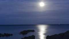 Lyric Through The Night show image