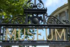 National Museum of Ireland launches five-year strategy plan
