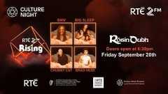 2FM at Culture Night 2024 show image