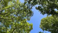 Photo by RTÉ staff member Áine Gallagher