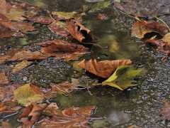 Oблачно и хладније, местимично с кишом – током ноћи јаче захлађење и снег