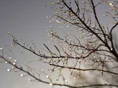 Снег и ледена киша у Србији, викенд без падавина