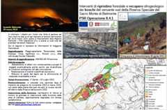 Bando Regione Piemonte - PSR Operazione 8.4.1. - intervento forestale al Sacro Monte di Belmonte (TO)