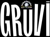 Logo gruvi
