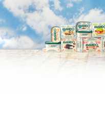 Barattolino Sammontana